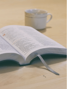 Screen Shot 2019-04-14 at 4.46.06 PM