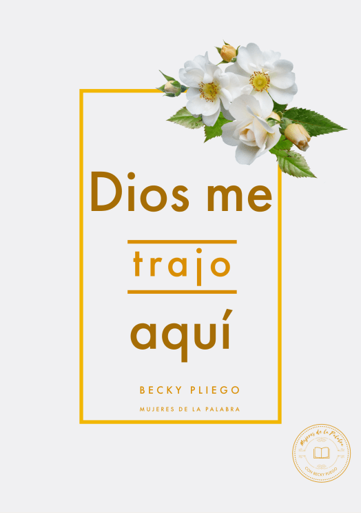 55CBD88C-9DB2-44FC-B368-54DA6FAF52B4